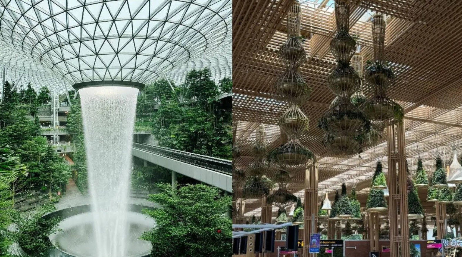 Singapore Changi Airport Forest